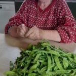 Erna Serry